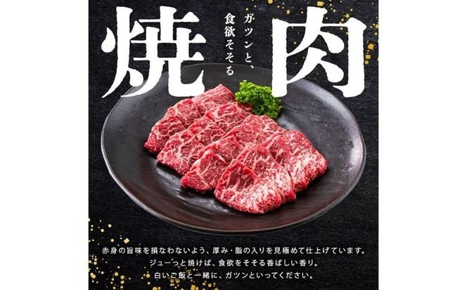 【小分け】＜A5等級＞鹿児島県産 黒毛和牛 牛肉 赤身 焼肉＆しゃぶしゃぶ セット (焼肉200g×1P/スライス200g×2P)＜計600g＞ a4-107