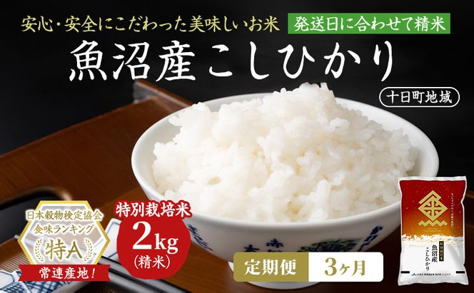 【3ヶ月定期便】特別栽培米 魚沼産こしひかり(十日町地域) 精米 2kg 米 お米 コシヒカリ 定期 十日町市