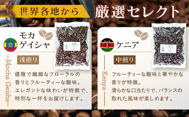 [豆]コーヒー豆 100g×6種類セット 合計600g 注文後焙煎 272183_BG426