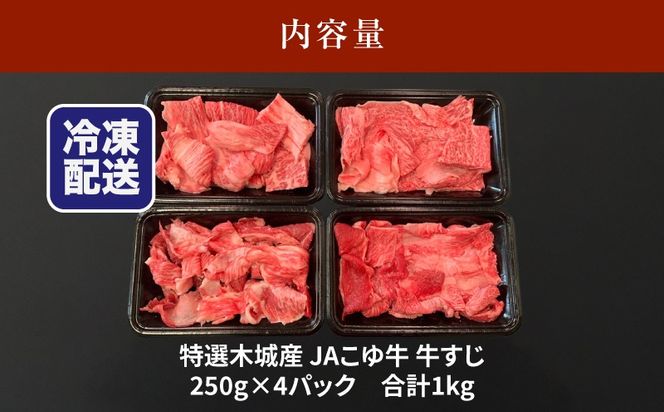 JAこゆ牛 特選木城産 すじ250g×4  K56_0013