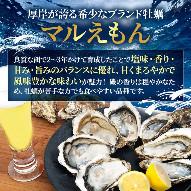 北海道 厚岸産 生食用 殻付カキ LLサイズ 10個 マルえもん 牡蠣 魚貝類 生牡蠣 かき