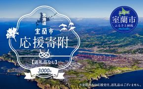 【返礼品なし】北海道室蘭市・応援寄附3,000円（寄附のみの応援受付 ※返礼品はございません） MROBR003