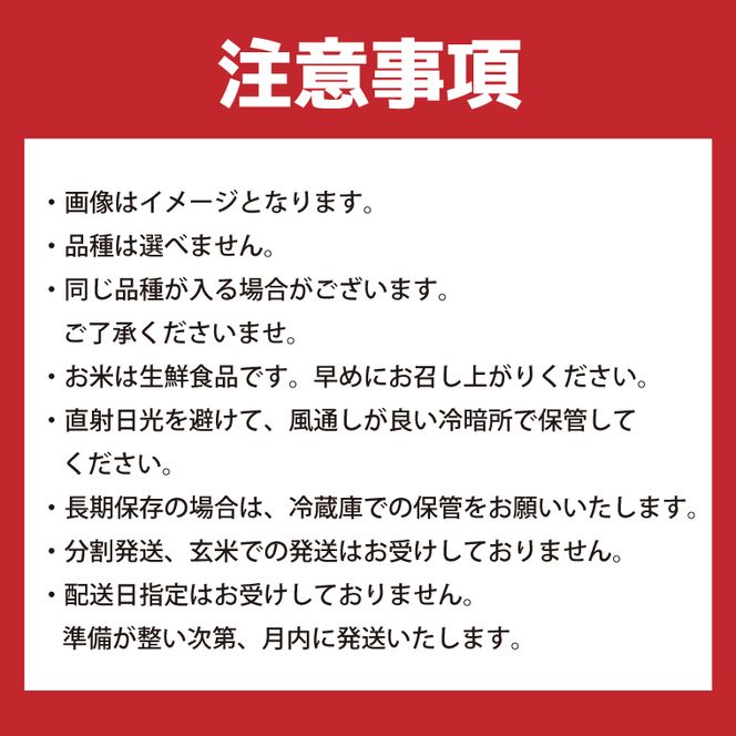 【数量限定】 令和7年産 米 ミルキークイーン 20kg ( 5kg × 4袋 )|お米 茨城県 行方市(HA-17)