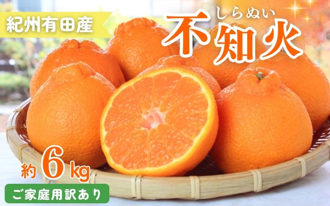 【ご家庭用訳あり】紀州有田産不知火(しらぬひ) 約6kg 【予約】※2027年2月中旬頃〜2026年3月中旬頃に順次発送予定(お届け日指定不可)【uot831A】