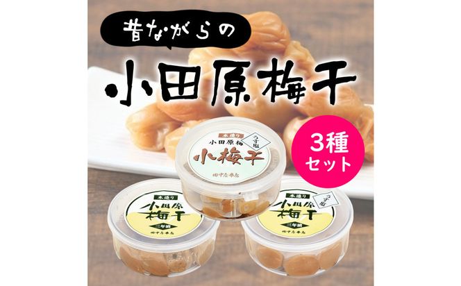 �y�_�ސ쌧���c���s�z���c���V�ܓX��������~�����J�b�v3��ރZ�b�g 142069_CW109