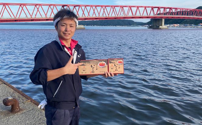 北海道産 いくら 醤油漬け 200g 魚貝類 魚卵 いくら醤油漬け イクラ 