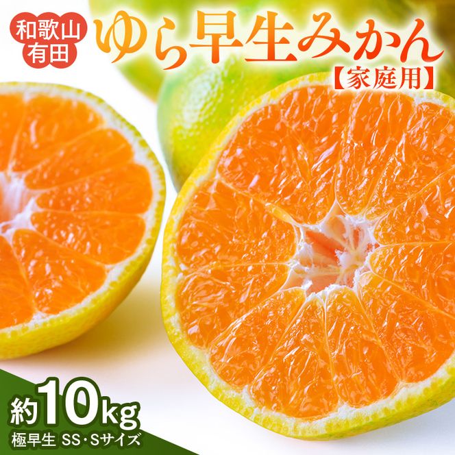 【先行予約】【ご家庭用 極早生】和歌山有田ゆら早生みかん約10kg(SS、Sサイズ)【美浜町】 | 柑橘 みかん