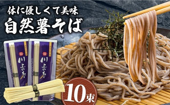 【年内発送】年越しそば 手延べ 自然薯 そば 500g（250g×2） / 蕎麦 麺 長崎 / 南島原市 / 川上製麺 [SCM021]