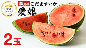 【 先行予約 】 【 訳あり 】 こだまスイカ 愛娘 2玉 2026年産 すいか スイカ 小玉スイカ フルーツ 果物 [AF084ci]