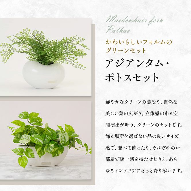 観葉植物 エミリオ・ロバ アジアンタム ポトス 2点セット 造花 シダ Sサイズ 卓上 フェイクグリーン アーティフィシャルグリーン 人工観葉植物 インテリア 水やり不要 テーブル リビング 玄関 ナチュラル ギフト 贈り物 三重県 名張市