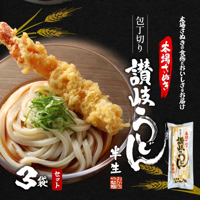 【 小豆島 】おか乃や製麺　讃岐うどん2種・めんつゆ詰合せ　9人前 