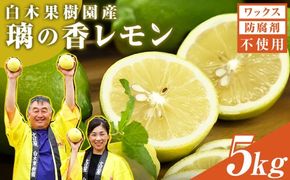 【先行予約】レモン 約5kg 12～25個〈2026年10月下旬～12月上旬頃発送〉  / 璃の香レモン 果物 くだもの 柑橘 フルーツ れもん お取り寄せ 産地直送 おいしい 美味しい 白木果樹園 常温 配送 高知県 高知 土佐市【白木果樹園】 [BQAI026]