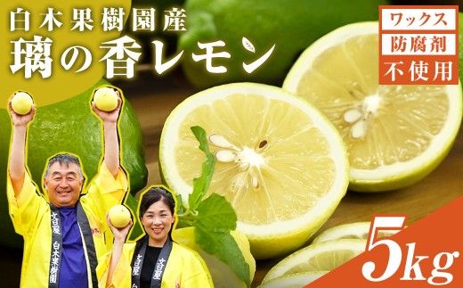 【先行予約】レモン 約5kg 12～25個〈2026年10月下旬～12月上旬頃発送〉  / 璃の香レモン 果物 くだもの 柑橘 フルーツ れもん お取り寄せ 産地直送 おいしい 美味しい 白木果樹園 常温 配送 高知県 高知 土佐市【白木果樹園】 [BQAI026]