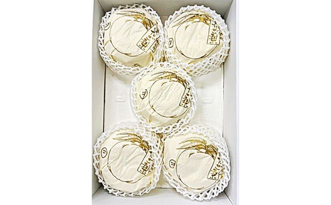 梨 2026年 先行予約 あたご梨 3-6玉（約4kg） 化粧箱入り なし ナシ 岡山県産 国産 フルーツ 果物 ギフト