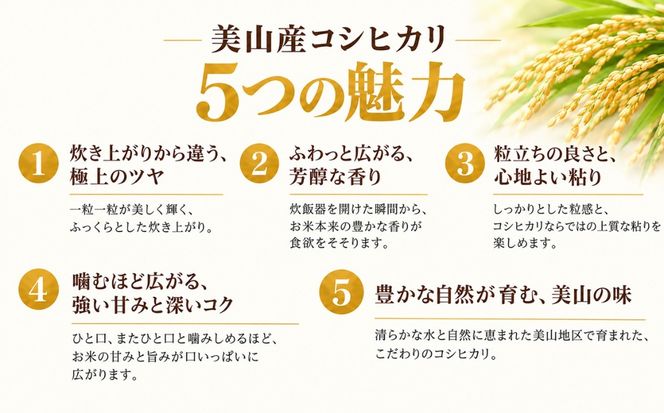 岐阜県美山産コシヒカリ 令和8年産 新米 5kg| 令和8年 米 精米 白米 お米 コシヒカリ こしひかり ツヤ 粘り 甘み ヤマガタ農産 ※2026年11月～発送