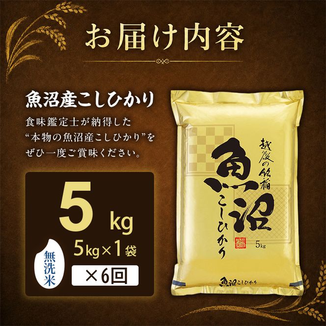 【令和8年産 先行予約】無洗米「6カ月定期便」食味鑑定士厳選！５ｋｇ×６回 白米 安心 安全 こだわり 米 コシヒカリ 定期 新潟県 十日町市