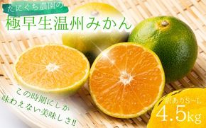 【先行予約】訳あり品 ご家庭用 S-Lサイズ不揃い たにぐち農園の極早生温州みかん(マルチ栽培)4.5kg【2025年9月下旬～10月下旬に順次発送】 / わけあり 訳あり ご家庭用 家庭用 不揃い 極早生 早生 温州 みかん 蜜柑【mtn016A】