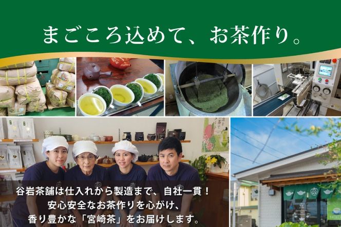 お茶 緑茶 深蒸し煎茶 深緑 80g×3本 [谷岩茶舗 宮崎県 日向市 452061732] セット 小分け 茶葉 プラチナ賞