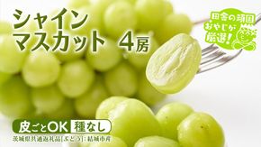 【2026年7月より発送開始】シャインマスカット 4房  （茨城県共通返礼品 [ぶどう]：結城市産） 田舎の頑固おやじが厳選！ マスカット 種なし ギフト 高糖度 大粒 甘い 美味しい フルーツ [BI292-NT]