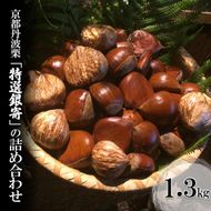 京都丹波栗「特選銀寄」の詰め合わせ　1.3kg 最高級 国産 栗 くり 数量限定 期間限定 秋 天然 京都府 南丹市