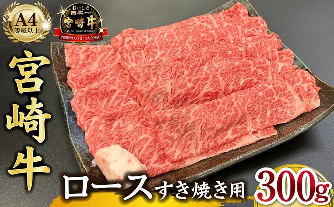 y{茧юsz{茧mqEA4ȏ{苍~肷Ă[X 300g  јa [X Ԑg Ă Ăp A4 A5 tb4A