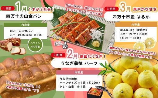 【 年末限定 】 8回 定期便 四万十 人気グルメ お楽しみ定期便 しまんと ふるさと定期便 10万円 Bコース 今だけ 鰻 牛肉 豚肉 パン 魚 タタキ カツオ うどん 柑橘 はるか フルーツ ケーキ ごちそう 贅沢 豪華 高知 四万十市 25-815