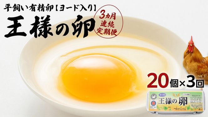 【3ヵ月 連続 定期便】王様の卵 ヨード入 20個 計60個 平飼い 地鶏 有精卵 濃厚 卵 こだわり卵 たまご 頒布会 定期 [AU005us]