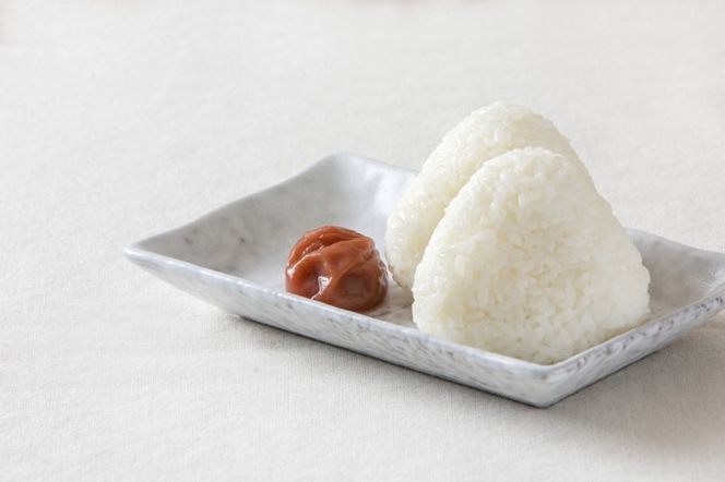 しそかつお梅干し500g 紀州南高梅うめぼし和歌山産(化粧箱入) 紀伊国屋文左衛門本舗◇ ｜梅干 厳選 最高級 かつおうめ ふるさと納税 梅干し 和歌山