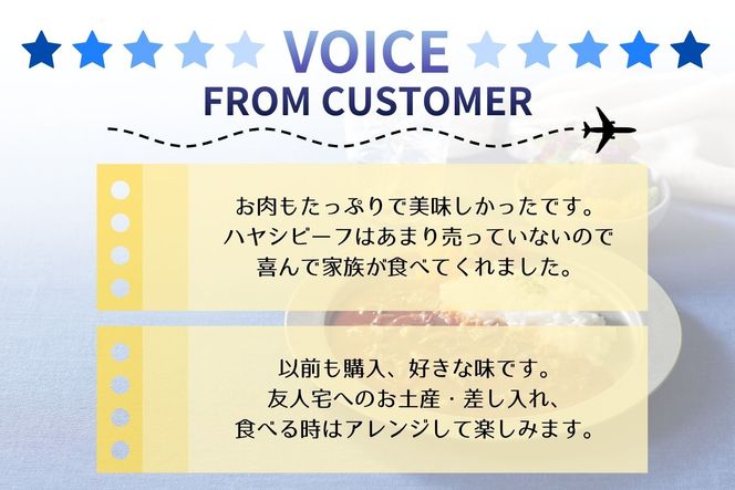 ANAオリジナルビーフコンソメスープを使ったとびっきりハヤシビーフ８個セット（A1053-1）