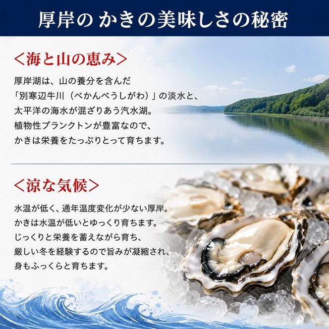【厚岸漁協直売店特製】 かきガンガン焼 Lセット 15個 北海道 牡蠣 カキ かき  生牡蠣 殻付  魚介類 マルえもん