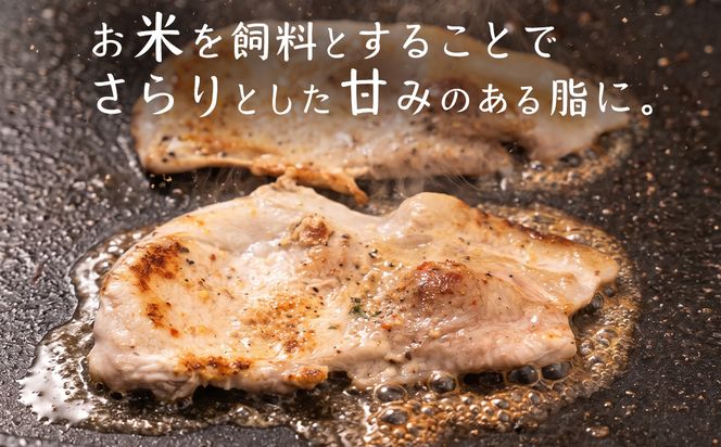 茨城県産のお米を食べて育った 常陽さん家の 美味豚 (SPF豚) ロース 焼肉用 2kg (龍ヶ崎市 共通返礼品） 国産 ロース ロース肉 豚ロース 豚 SPF SPF豚 豚肉 焼肉 バーベキュー しゃぶしゃぶ 肉 にく 肉類 ポーク こだわり やわらか お米育ち 安心 安全 人気 お取り寄せグルメ お取り寄せ グルメ おすすめ [BW002us]