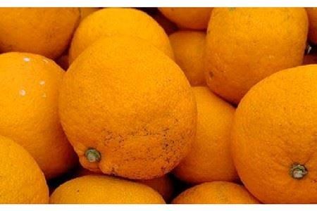 【 糸島 飲み比べ 】 糸島 純米 70 720ml ・ 糸島 芋焼酎 900ml ・ いとしま甘夏の酒 720ml 《糸島》 【蔵屋】 [AUA010]