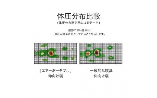 【西川】[エアーポータブル]モバイルマット【P224W1】（滋賀県　近江八幡市）