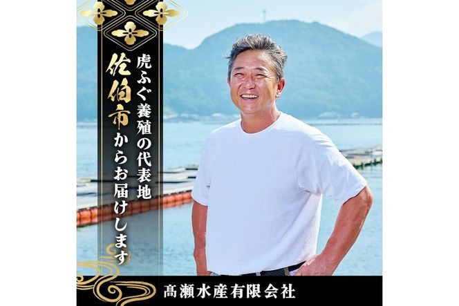 虎ふぐセット(2-3人前) ふぐ フグ トラフグ とらふぐ あら アラ 鍋用 刺身 皮 ひれ 薬味付き【GP001】【高瀬水産】