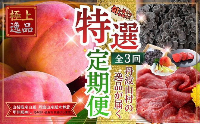 【特選定期便】桃 馬刺し 舞茸 旨味を極めた至高の定期便【全3回】 朝もぎ直送 山梨県産桃 白鳳 2kg 桃 モモ 甲州馬刺し 国産 ロース 原木舞茸 きのこ 贈り物 贈答品 ギフト 送料無料【tab0246】