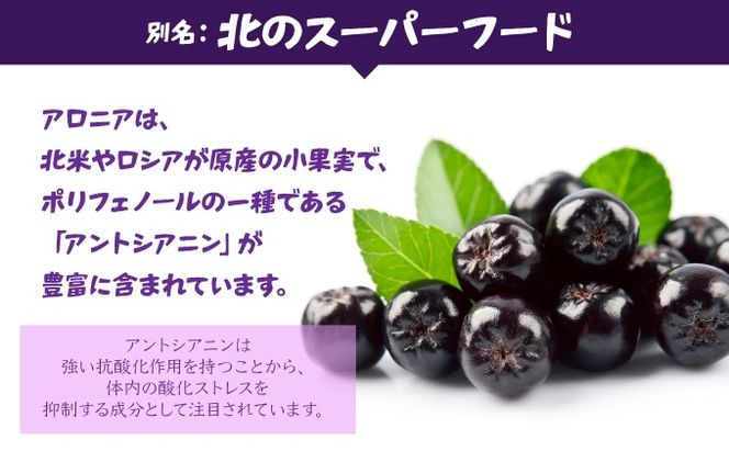 北海道 伊達 大滝産 アロニア ジュース 500ml 2本 果汁 果実飲料 飲料 飲み物 フルーツ スーパーフード ポリフェノール