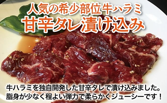 y{򍲖szG3413 yn~zÐh^Ђ v2.5kg yt n~  Ă ȒP BBQ  250g×10Pz