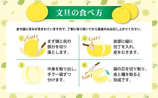 【先行予約】【訳あり】土佐文旦（ぶんたん）家庭用（M～5L）約3kg 〈2027年2月中旬～発送〉 文旦 3キロ 土佐文旦発祥の地 産地直送 約4～10玉 大玉 ぶんたん 訳あり【株式会社とさもん】 [BQAE043]