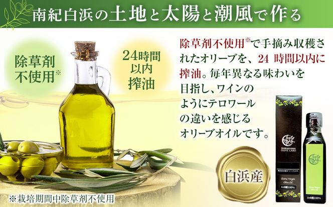 白浜産 100％ EXV オリーブオイル 1本（100ml） 304018_Y006
