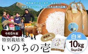 新米 令和6年産 特別栽培米 いのちの壱(白米) 10kg(5kg×2袋) 雑穀米付き《30日以内に出荷予定(土日祝除く)》 熊本県 南阿蘇村 熊本県産 虹色のかば 白米 雑穀米---sms_inci6_30d_24_25000_h10kg2---