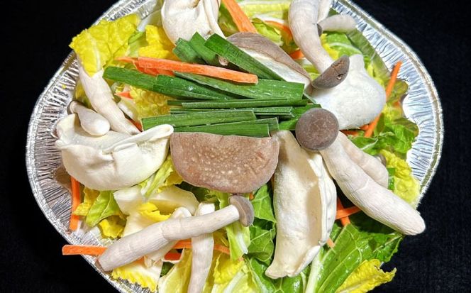 【簡単調理】本格 水餃子鍋　1食　/ 水餃子 餃子 鍋 なべ / 南島原市 / はなぶさ[SCN164]