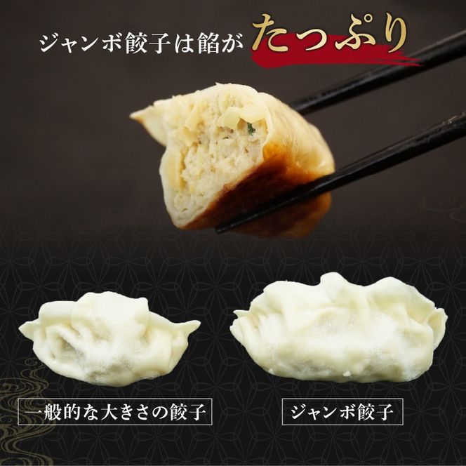 餃子 シュウマイ 4種 詰め合わせ 野菜 豚肉 冷凍 餃子 ぎょうざ ギョーザ しゅうまい シューマイ 焼売 おつまみ 食品 惣菜 中華 業務用 おかず ビール 中華 おかず 国内製造 静岡県 藤枝市