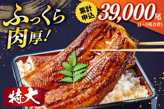 �y�������F�����z���Ȃ� ���Y ����� �V ���� ���� ��200g 2�� �v400g�ȏ� 12�� ���v��4.8kg ������ �y�L���z[�单���Y ������ �F���� um40bak830020] �^�� �R���t ���t���� �E�i�M �s���� �K�i�O ������ �{�� ���Ȃ����� �V���Ă� ���Ă� ���ΏĂ� �^��p�b�N � �Ⓚ un