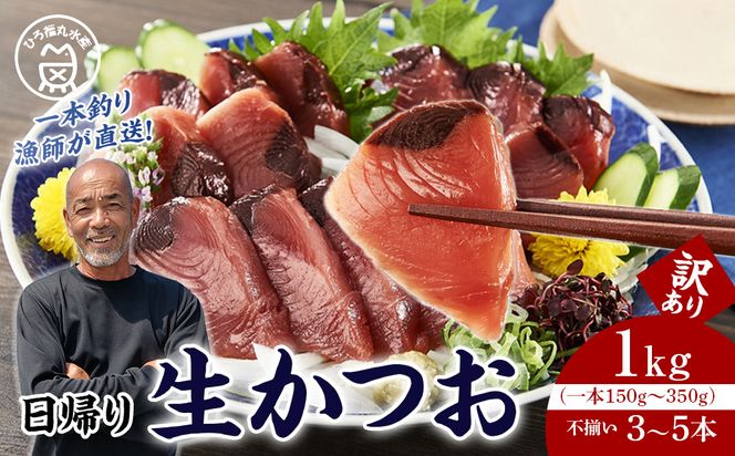 かつお一本釣り漁師が直送！ 日帰り生かつお 訳あり 1kg入 304018_DT03