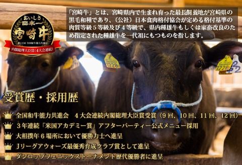 【訳あり・A4等級以上】宮崎牛濃厚スジ肉 3.0kg程度 黒毛和牛 牛肉 和牛 赤身 スジ 牛すじ 牛スジ カレー 煮物