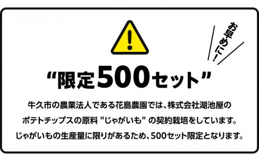 湖池屋 プライドポテト55g 2種類 詰め合わせ セット ポテチ お菓子 おかし スナック ポテトチップス のり塩 塩 ポテト 数量限定 まとめ買い