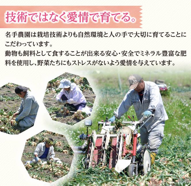 【定期便】名手農園の淡路島特産玉ねぎ(5kg)とお米(3kg)の10ヶ月コース