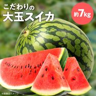 スイカ1玉(約7㎏級) N0195-YA2233