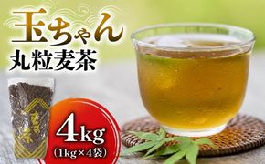 麦茶 玉ちゃん 丸粒麦茶 1kg 入れ 4袋 飲料 大容量 むぎ茶 煮出し 八木音 静岡県 静岡県 藤枝市 