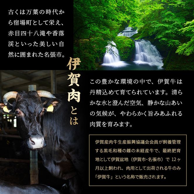 伊賀忍者ビーフヒレステーキコース・2-ひ